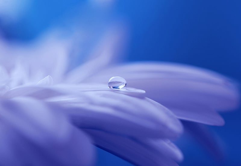 Mystical Vows